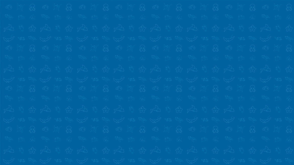 fundo_slide.jpg