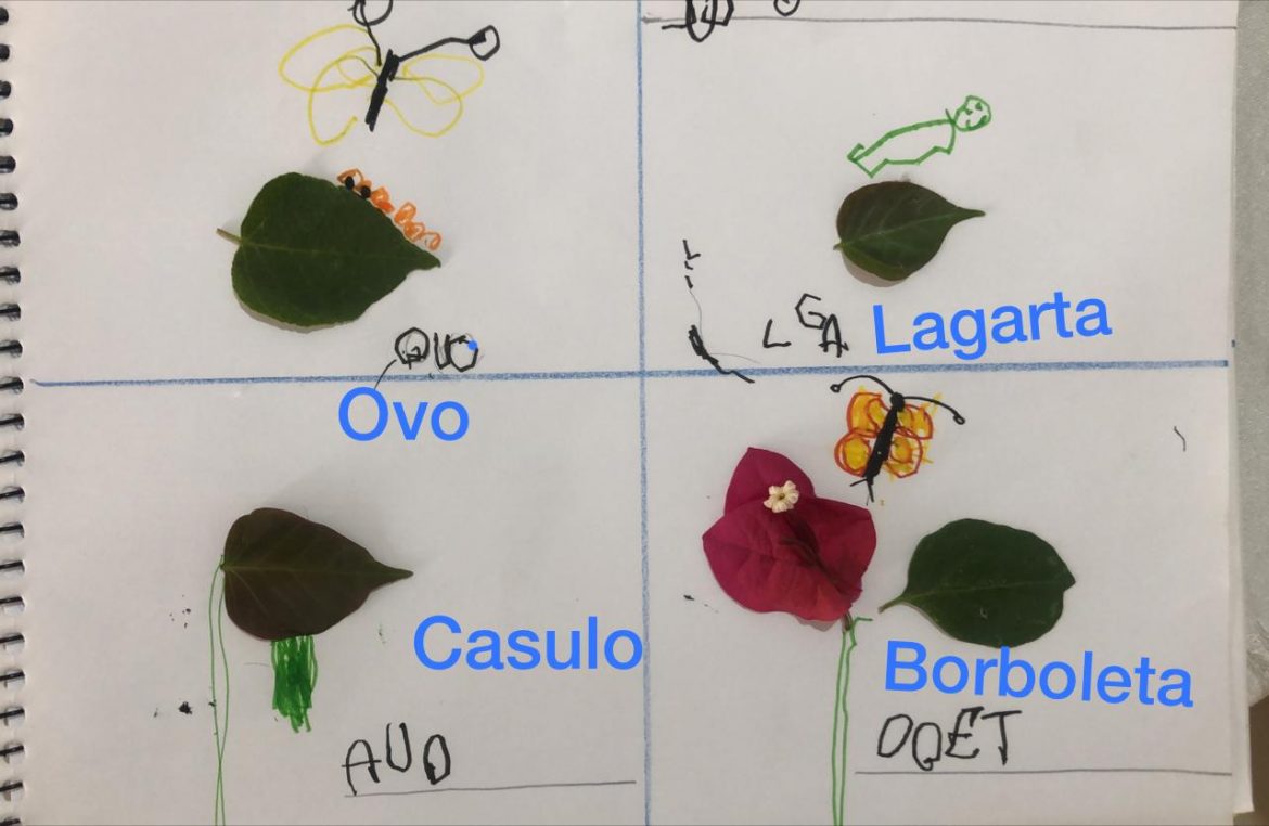 Plantas-1.jpeg